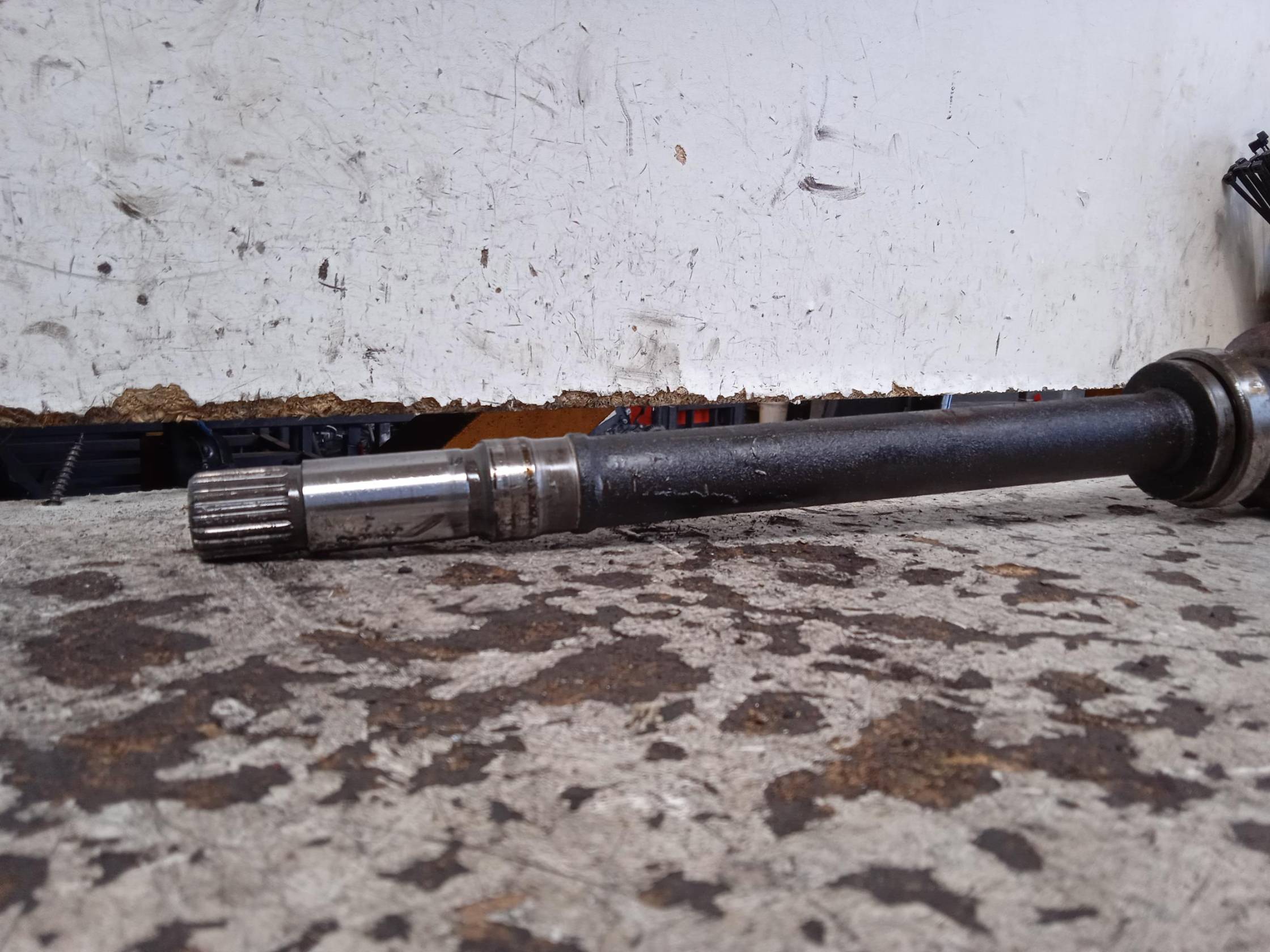 Semialbero ant. compl. dx.